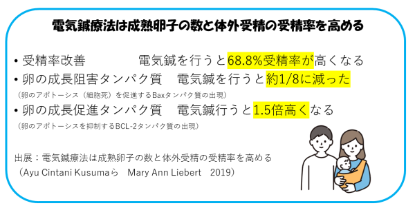 鍼灸を行った場合の卵の成長、採卵数の改善率について